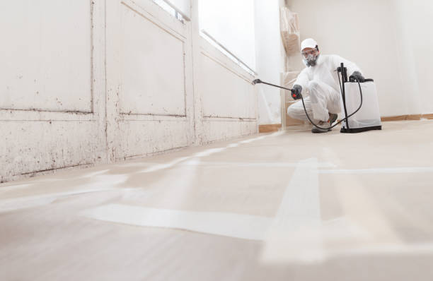 24/7 Emergency Commercial Mold Remediation experts in Decatur, IL