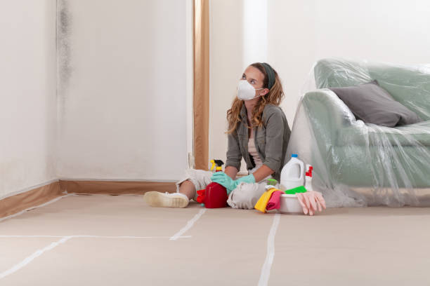 Reliable Commercial Mold Remediation contractor in Decatur, IL by 24 Hour Mold Removal